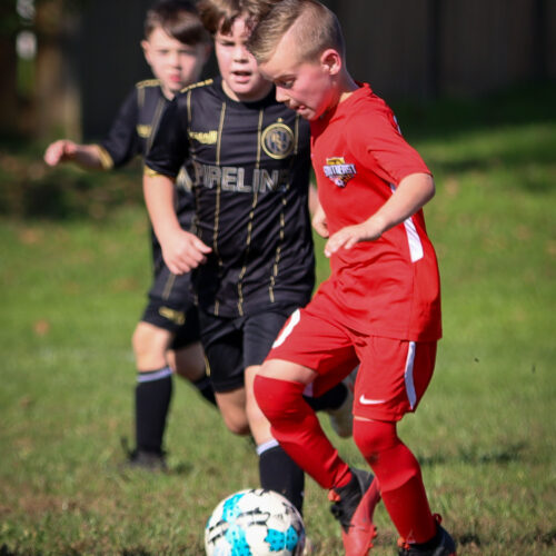 SESC PARKS 11 8 20 November 9th, 2020 44004