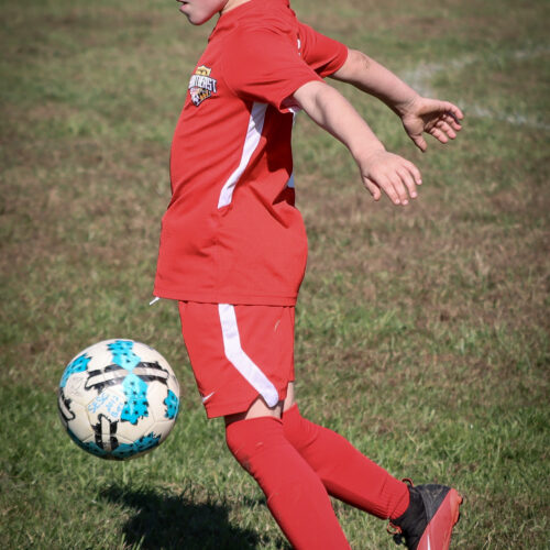 SESC PARKS 11 8 20 November 9th, 2020 44058