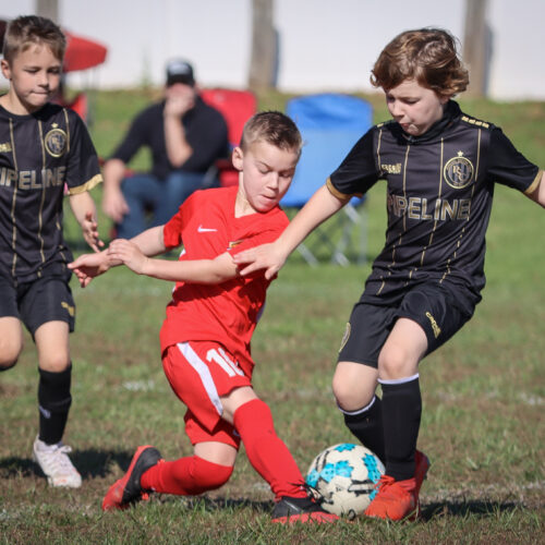 SESC PARKS 11 8 20 November 9th, 2020 44125