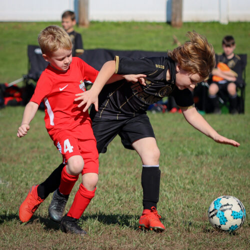 SESC PARKS 11 8 20 November 9th, 2020 44120