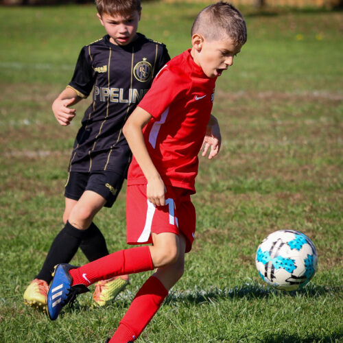 SESC PARKS 11 8 20 November 9th, 2020 44011