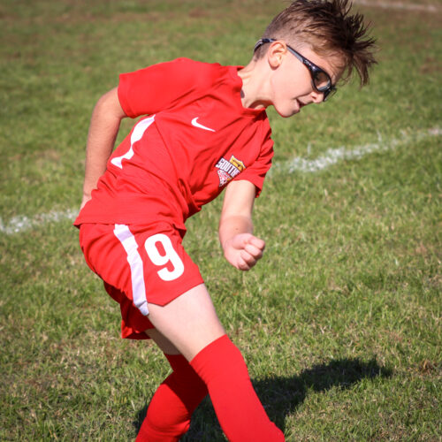 SESC PARKS 11 8 20 November 9th, 2020 44166