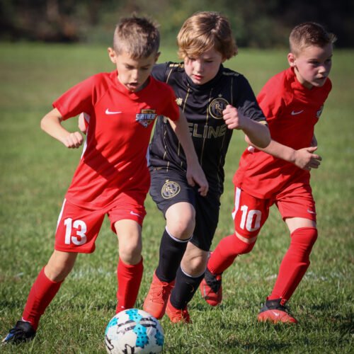 SESC PARKS 11 8 20 November 9th, 2020 44091