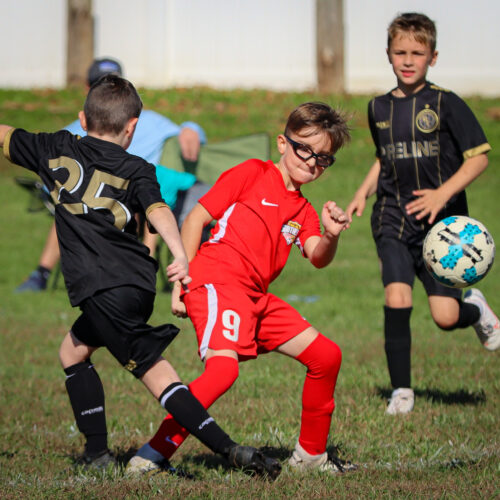 SESC PARKS 11 8 20 November 9th, 2020 44104