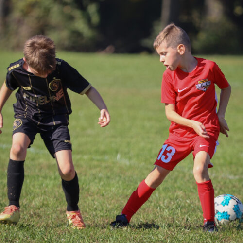 SESC PARKS 11 8 20 November 9th, 2020 43987