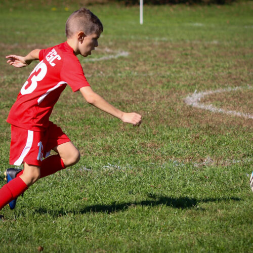 SESC PARKS 11 8 20 November 9th, 2020 44010