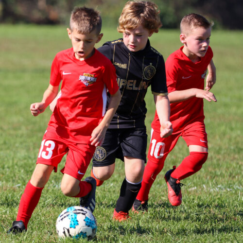 SESC PARKS 11 8 20 November 9th, 2020 44092