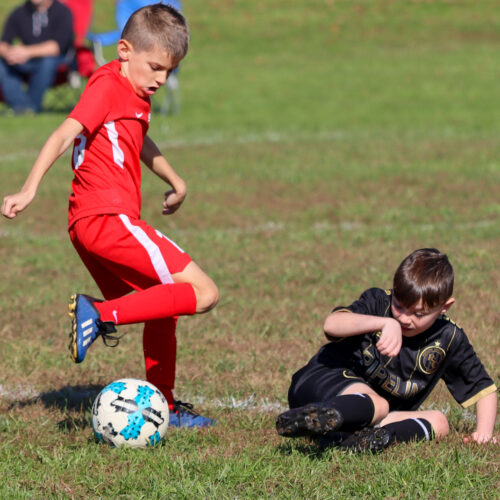 SESC PARKS 11 8 20 November 9th, 2020 44172