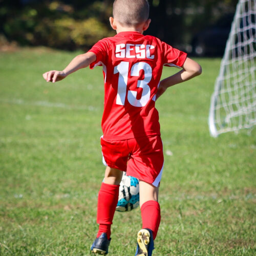 SESC PARKS 11 8 20 November 9th, 2020 44006