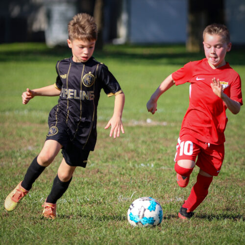 SESC PARKS 11 8 20 November 9th, 2020 44026