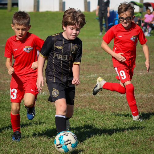 SESC PARKS 11 8 20 November 9th, 2020 43998