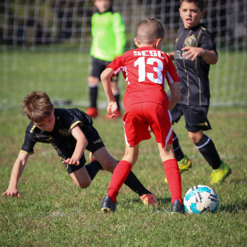 SESC PARKS 11 8 20 November 9th, 2020 44001